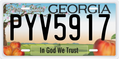 GA license plate PYV5917