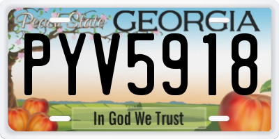 GA license plate PYV5918