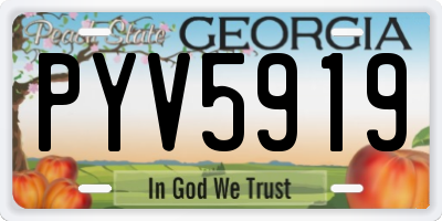 GA license plate PYV5919