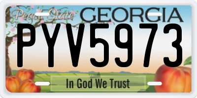 GA license plate PYV5973
