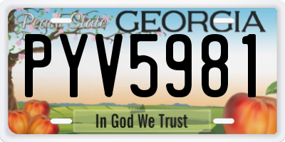 GA license plate PYV5981