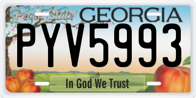 GA license plate PYV5993
