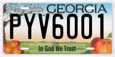 GA license plate PYV6001