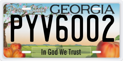 GA license plate PYV6002