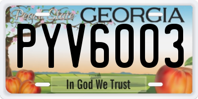 GA license plate PYV6003