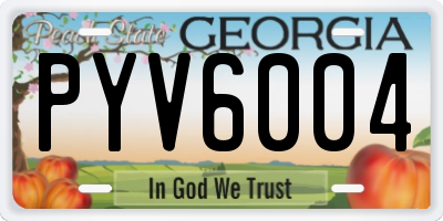 GA license plate PYV6004