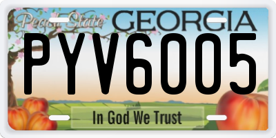 GA license plate PYV6005