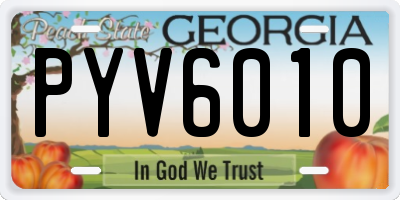 GA license plate PYV6010