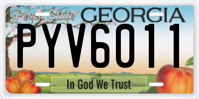 GA license plate PYV6011