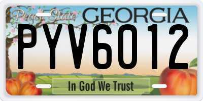 GA license plate PYV6012
