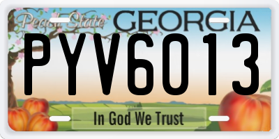 GA license plate PYV6013
