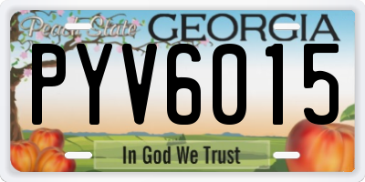 GA license plate PYV6015