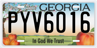 GA license plate PYV6016