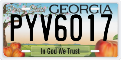 GA license plate PYV6017