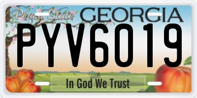 GA license plate PYV6019