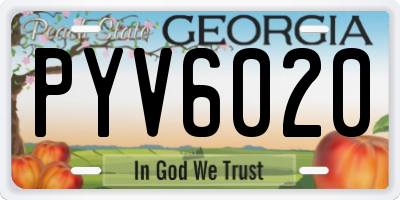 GA license plate PYV6020