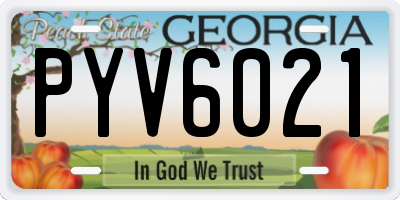 GA license plate PYV6021
