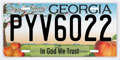 GA license plate PYV6022