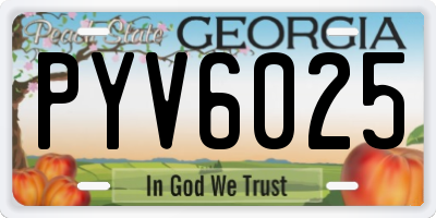 GA license plate PYV6025