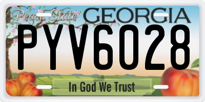 GA license plate PYV6028