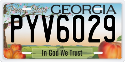 GA license plate PYV6029