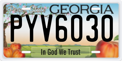 GA license plate PYV6030