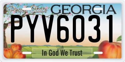 GA license plate PYV6031