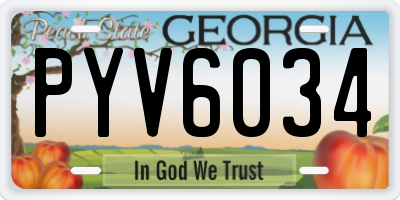 GA license plate PYV6034