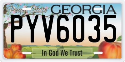 GA license plate PYV6035