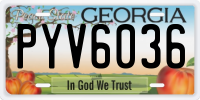 GA license plate PYV6036