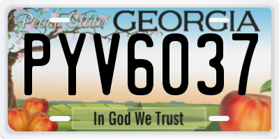 GA license plate PYV6037