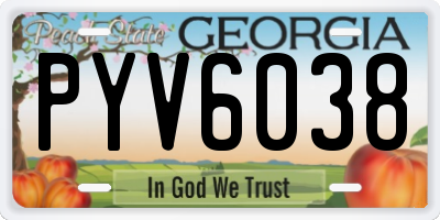 GA license plate PYV6038