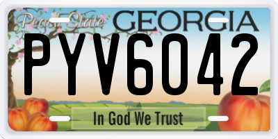 GA license plate PYV6042