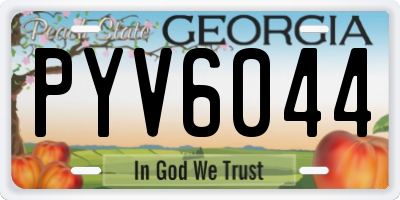 GA license plate PYV6044