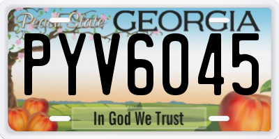 GA license plate PYV6045