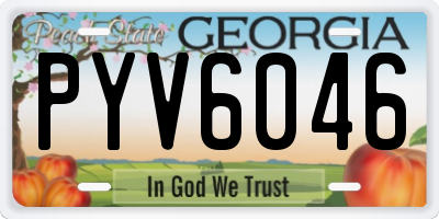 GA license plate PYV6046