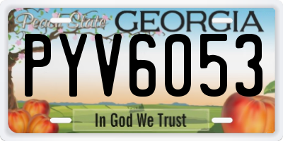 GA license plate PYV6053