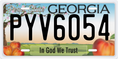GA license plate PYV6054