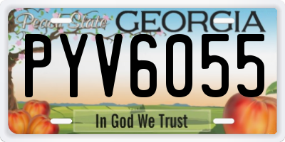 GA license plate PYV6055