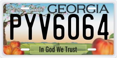 GA license plate PYV6064