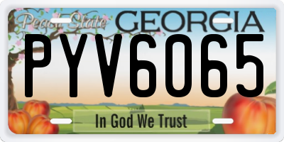 GA license plate PYV6065