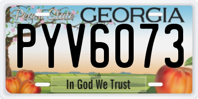 GA license plate PYV6073