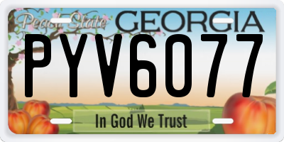 GA license plate PYV6077