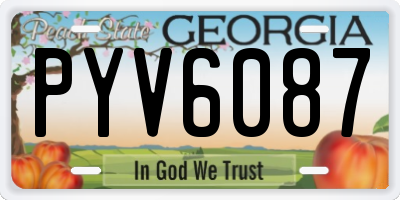 GA license plate PYV6087