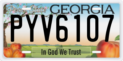 GA license plate PYV6107