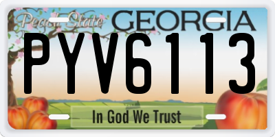 GA license plate PYV6113