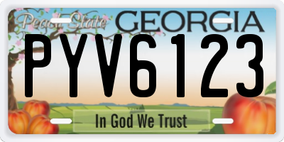 GA license plate PYV6123