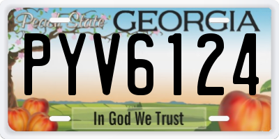 GA license plate PYV6124