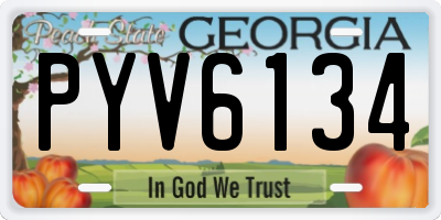GA license plate PYV6134
