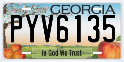 GA license plate PYV6135